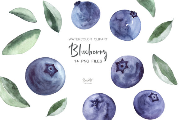 Download Blueberries Watercolor Clipart - Blueberries Collection