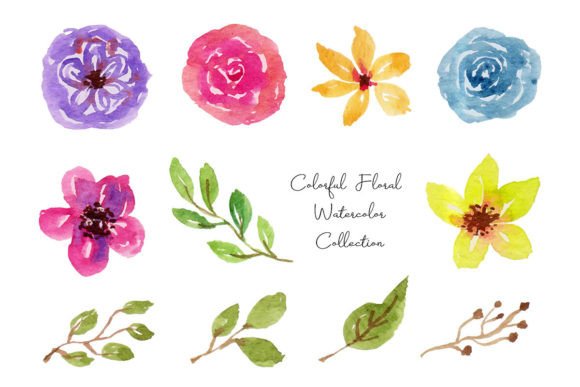 Download Colorful Flower and Leaf Watercolor - Colorful flower Collection
