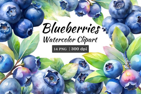 Download Blueberries Watercolor Clipart - Blueberries Collection